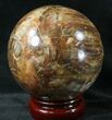 Colorful Petrified Wood Sphere #20635-1